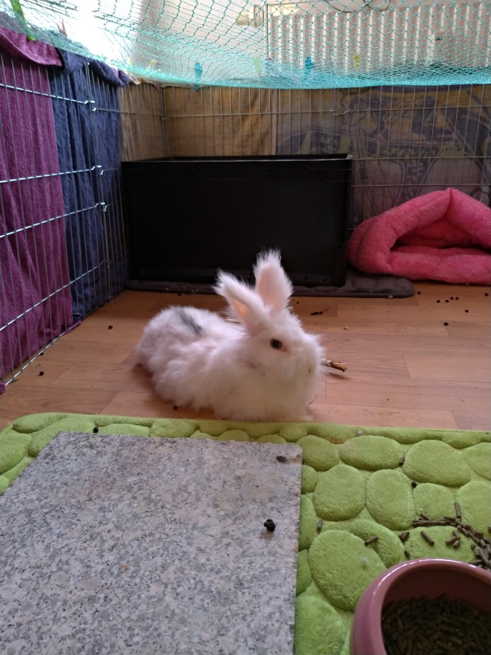 20180714191257_p.jpg